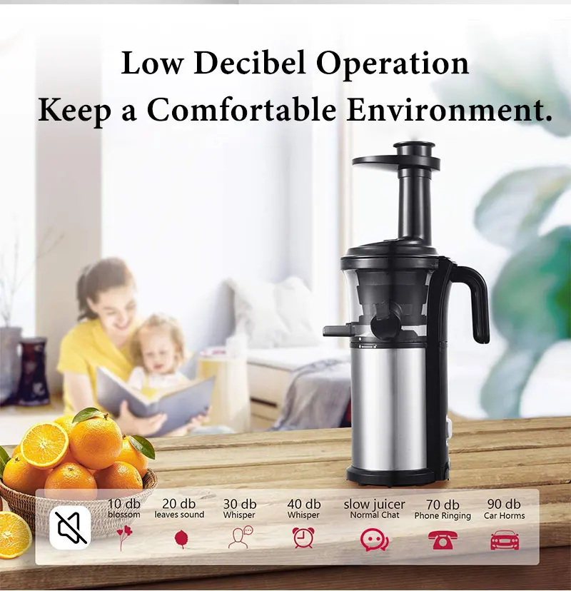Cold Press Slow Juicer: Mini Masticating Juicer Machine for Fruit Extraction