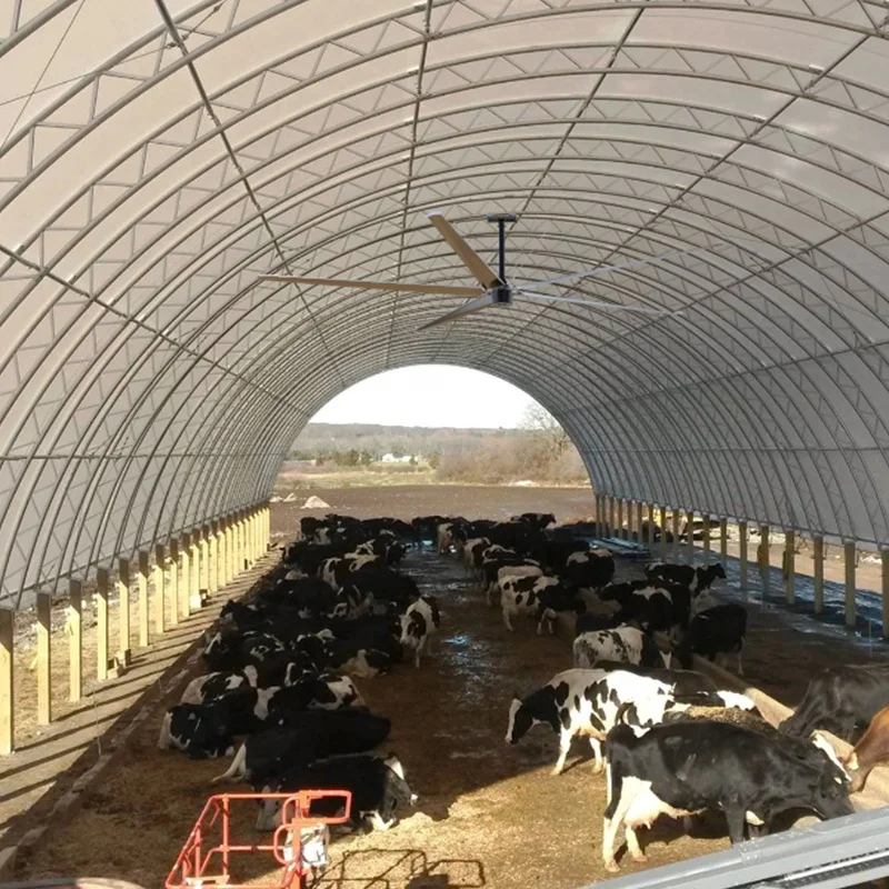 PMSM Motor Poultry 24ft Fan/ventilation Fan Axial Flow Fan AC Ceiling Fan High Volume, Low Speed 3 Years Aluminum 50HZ/60HZ