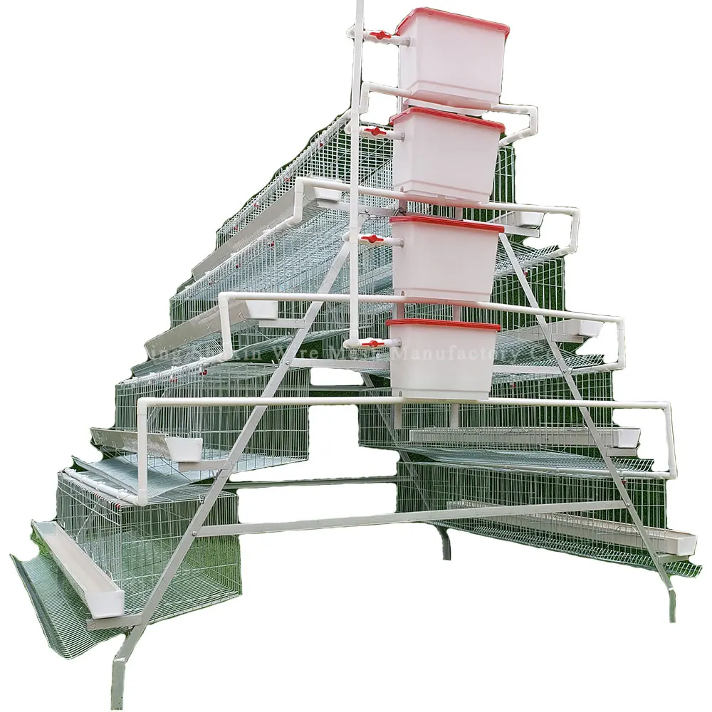 Poultry Farm 5 Tiers 250 Birds Animal Battery Layer Chicken Cages (1600465276118)