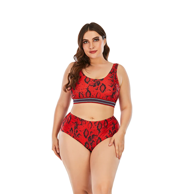 Wholesales Maillot De Bain Femme Sexi Plus Size Fitness Desinger Print Hot Bikini Swim Suit Models Beach Wear Women Swimwear
