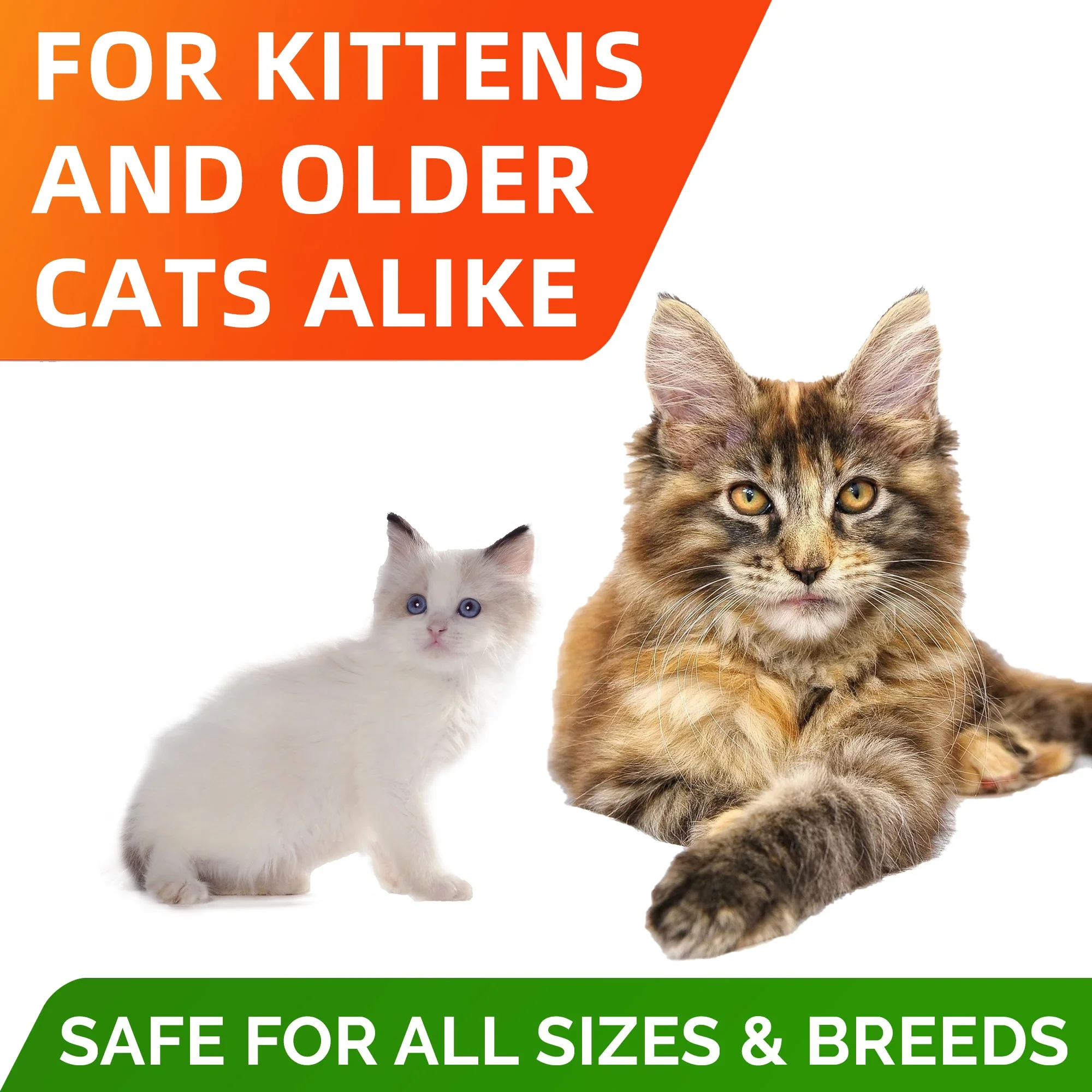 400g Wholesale Private Logo Cat High Protein nutrition Pet Supplement Multivitamin Lecithin Chews Health Bulk Cat Vitamins