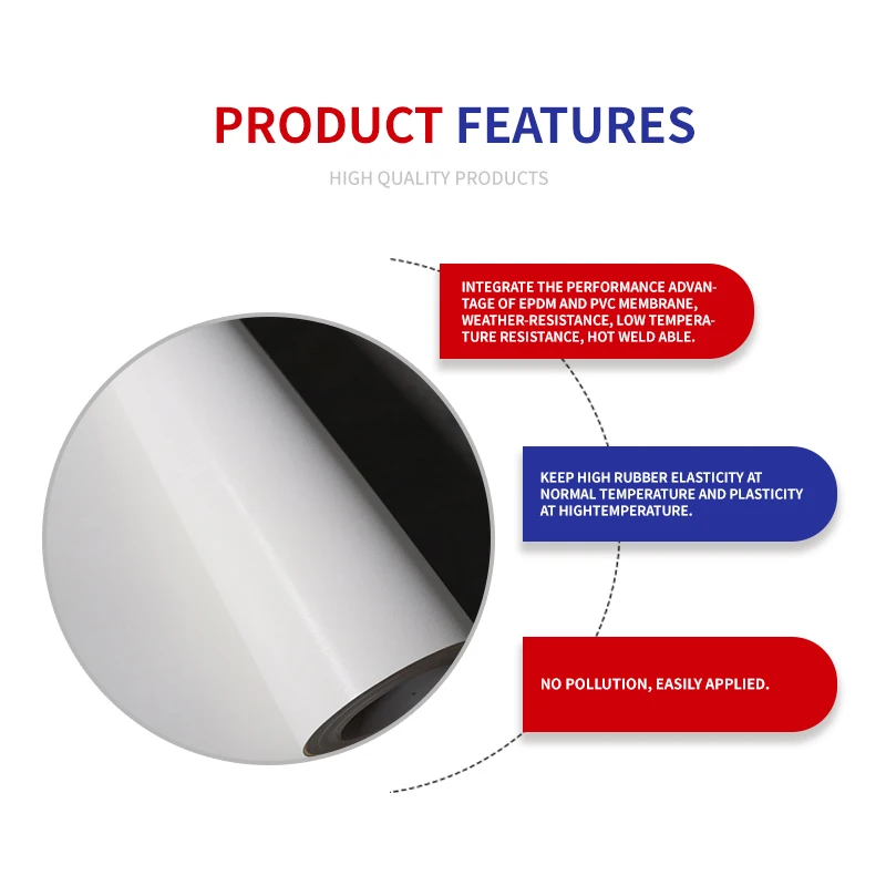 TPO Waterproof Membrane for Roof Modern Design Easy Application Pollution-Free Canals Dams Tanking Reservoirs