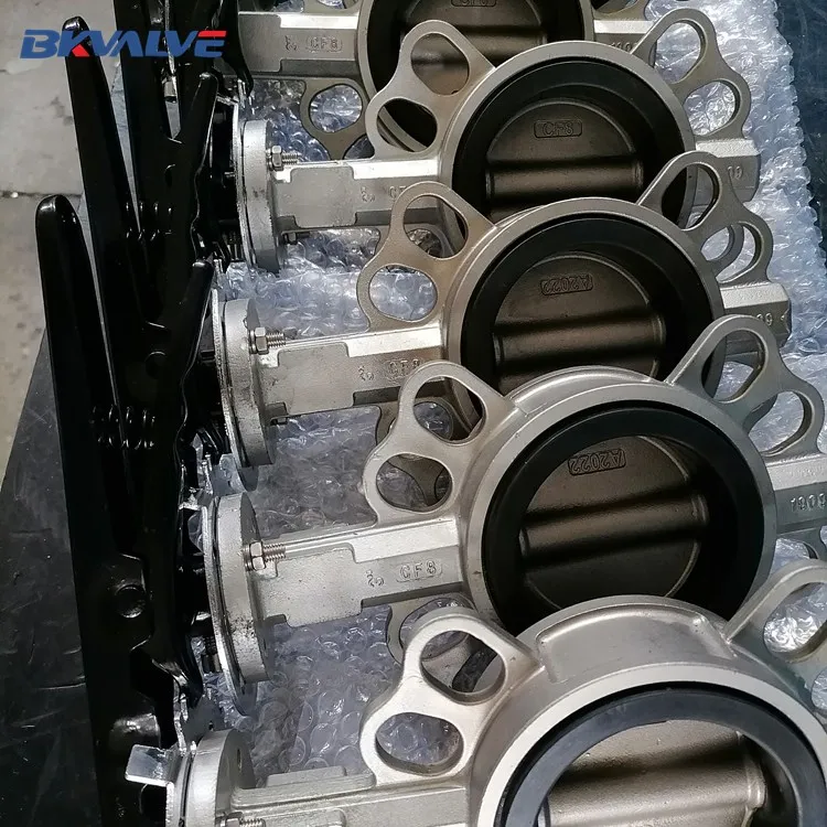 SS BUTTERFLY VALVE-3.jpg