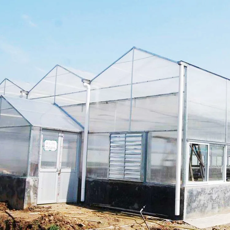 6mm Policarbonato Celular  Laminas De Policarbonato Polycarbonate Sheet