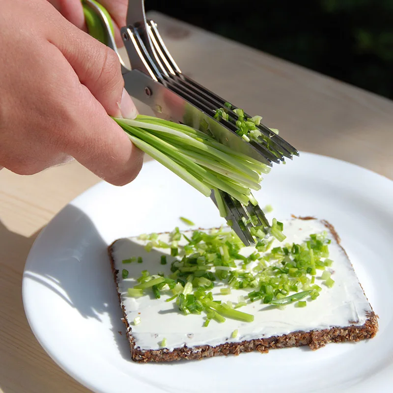 custom chopped scissors onion herb seaweed spice kitchen shears stainless steel cutting 5 blade herb scissors
