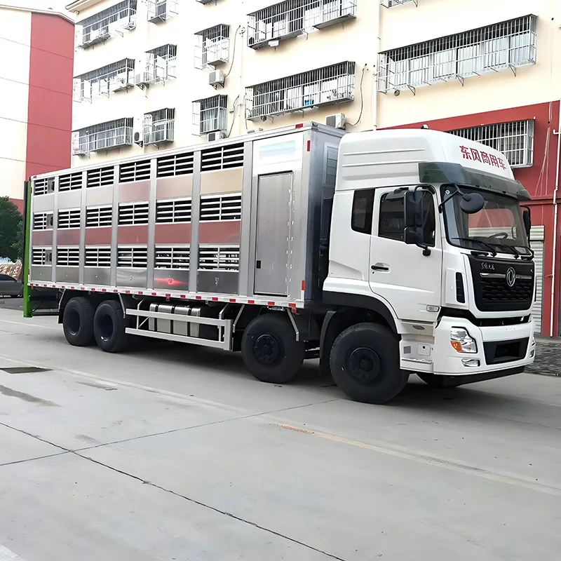 Dongfeng KL 8x4 грузовик для перевозки домашней птицы с постоянной температурой самосвал продажи