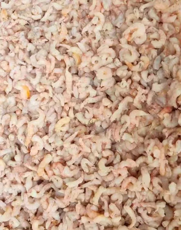 Frozen Pud shrimp (metapenae us sop)