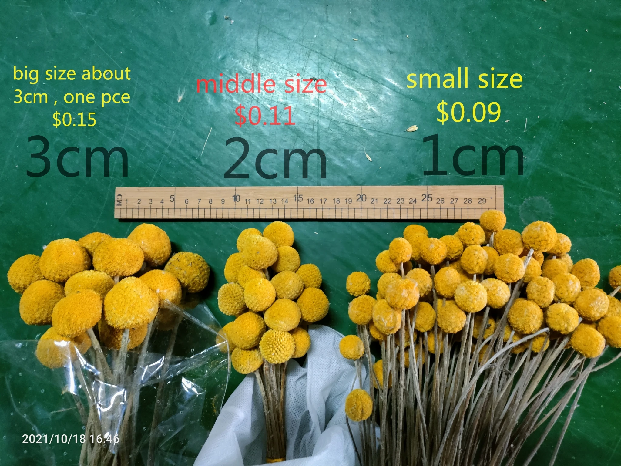 Dried natural Craspedia Billy Balls billy buttons yellow gold fruit flower