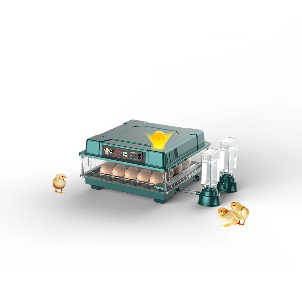 Mini 20 Egg Hatching Machine Automatic Chicken Egg Incubator For Sale