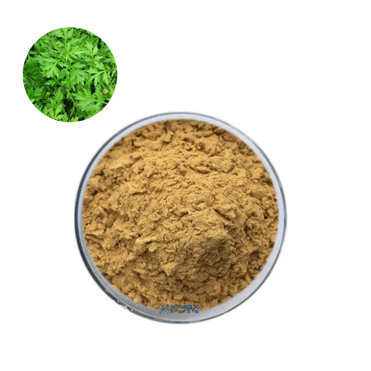 
Factory direct sale capillary artemisia extract 10:1 wormwood 