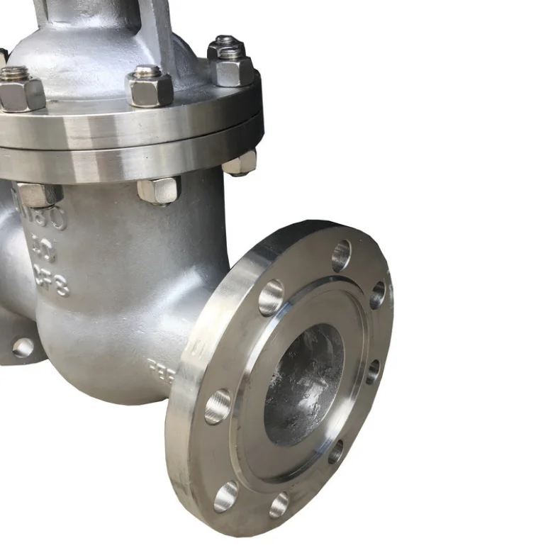 Заводской клапан BIAOYI, гидравлический винт из нержавеющей стали, запорный клапан из нержавеющей стали 300 фунтов