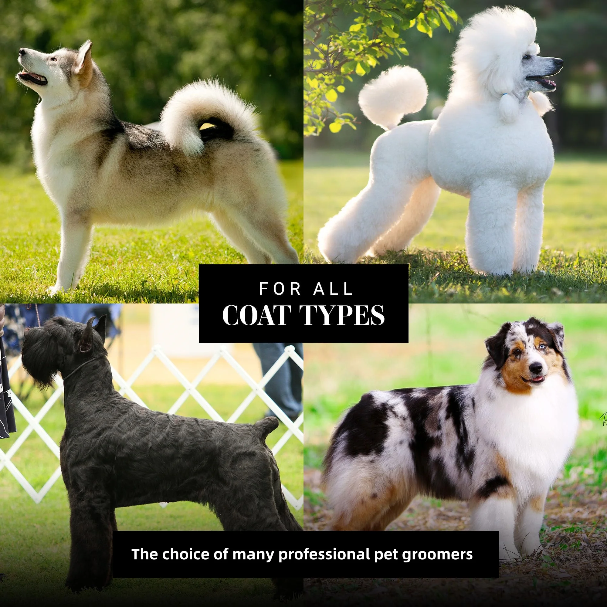 2024 New Pet Grooming Long Pin Wood Pet Dog Brush Handle paint curved Dog Slicker Brush for Goldendoodle Labradoodle