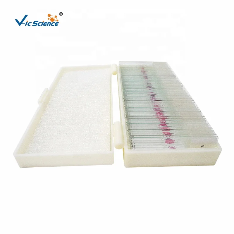 Slides Of Biology And Pathology Prepared Microbiological Bacterial Specimens Microscope Slide Set with Plastic