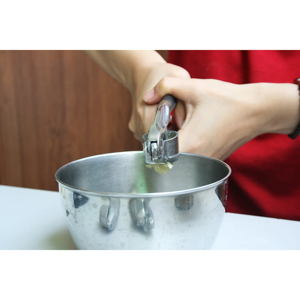 Kitchen Tools Garlic Crusher Peeler Ginger Garlic Mincer Tools Garlic Press