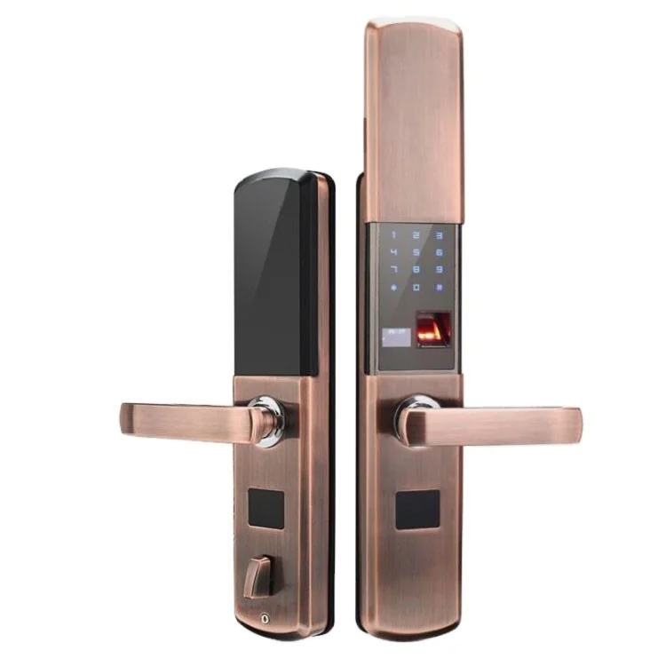 Умный электронный биометрический интеллектуальный замок для спортзала со сканером отпечатков пальцев