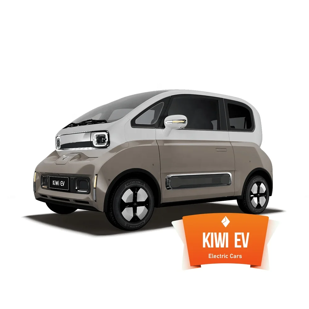 2022 New China New Energy Four 4 Wheeled Electric Vehicle Mini Car