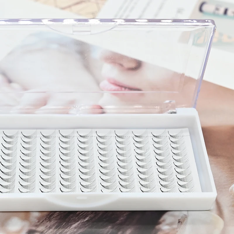 High Quality 3d 4d 5d 6d 7d 8d 9d 10d 0.07 D Curl Korean Pbt Wholesale OEM Eyelash Dark Black Premade Volume Lash Extensions