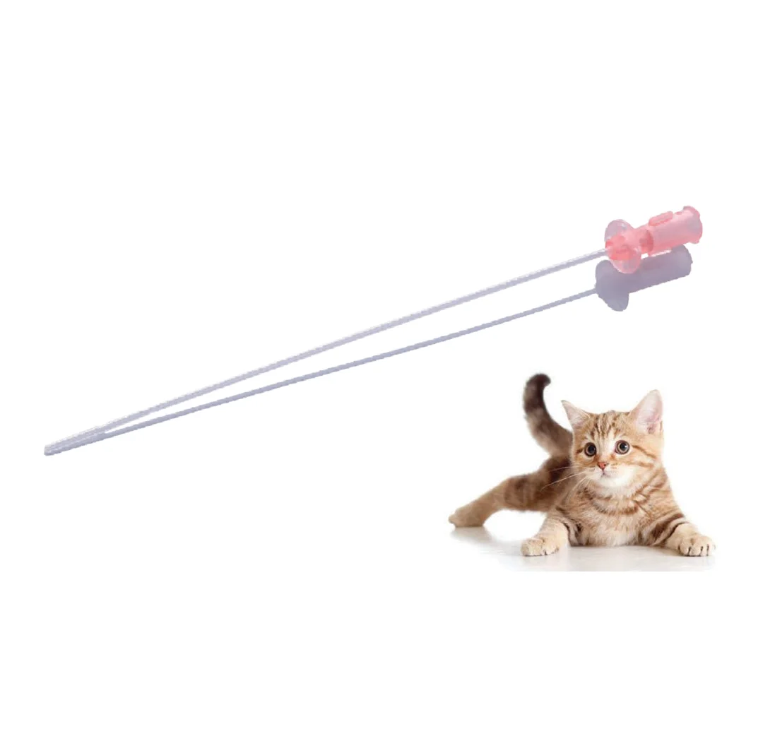 Wholesale Disposable Veterinary products Pet urine catheter Dog cat urinary catheter (1600395098945)