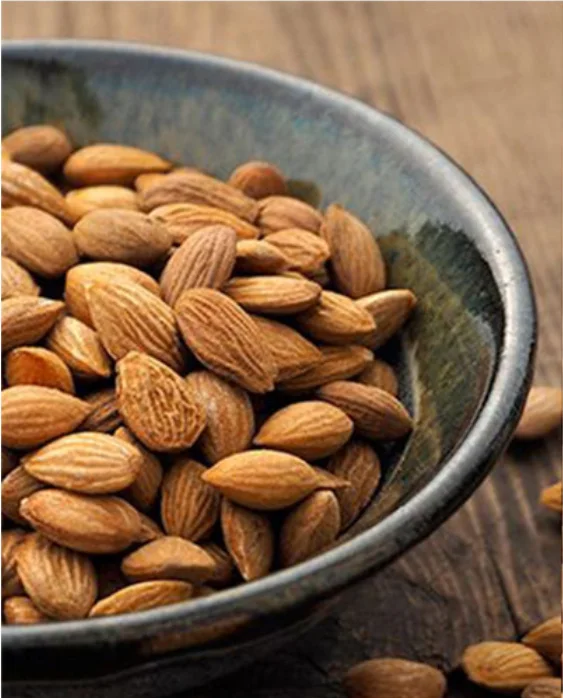 Wholesale Sugar-free Gluten Free Dark Chocolate Cocoa Almonds beans