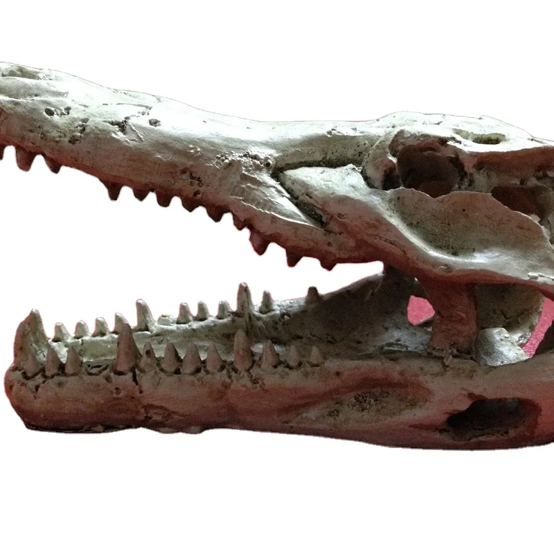 Climbing pet shelter cave pet shelter small turtle tank reptile shelter