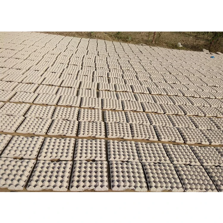 Beston Group Waste Paper Pulp Plant Automatic Small Paper Egg Tray Making Machine Sun Dryer