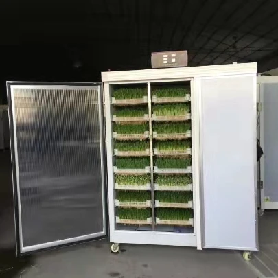 Sprout machine for salad green making