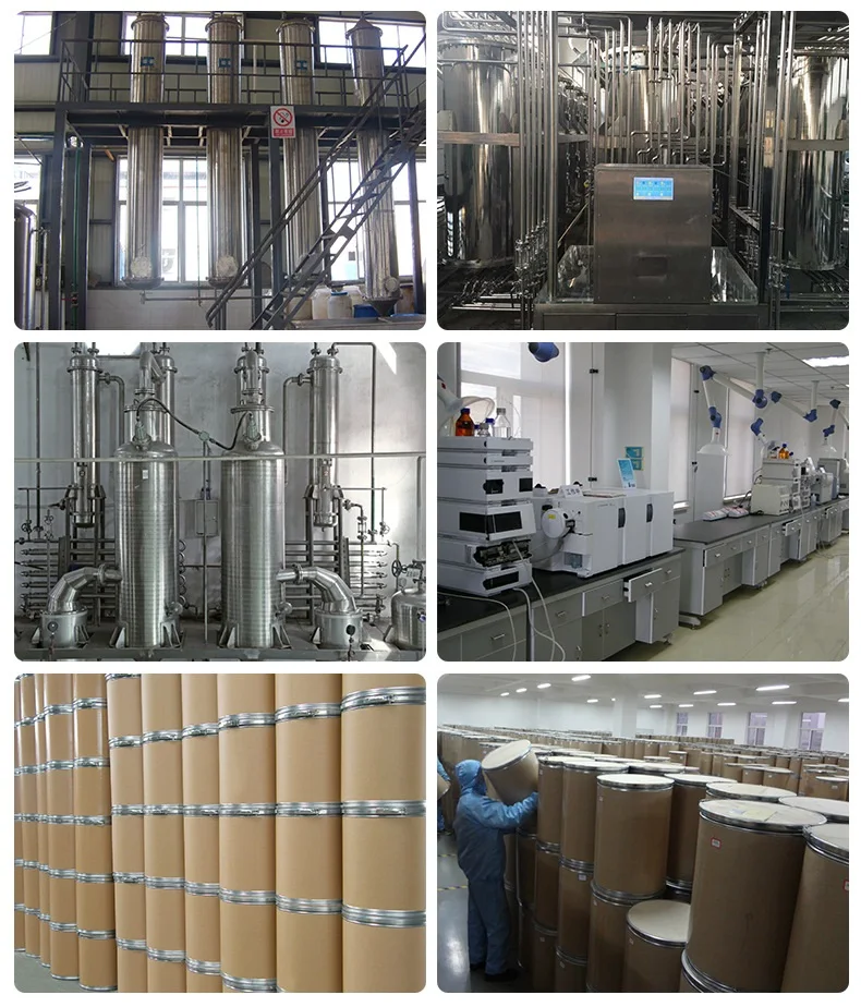 Factory supply freeze dried cauliflower powder broccoli extract powder