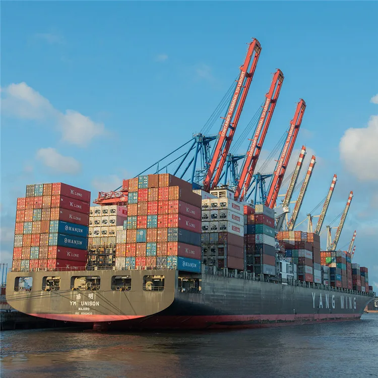 Provide professional customs clearance and tax payment services and sea transportation services to the United Arab Emirates