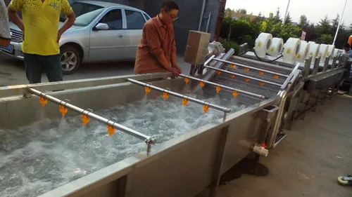 304 stainless steel spice mussel automatic cleaning machine