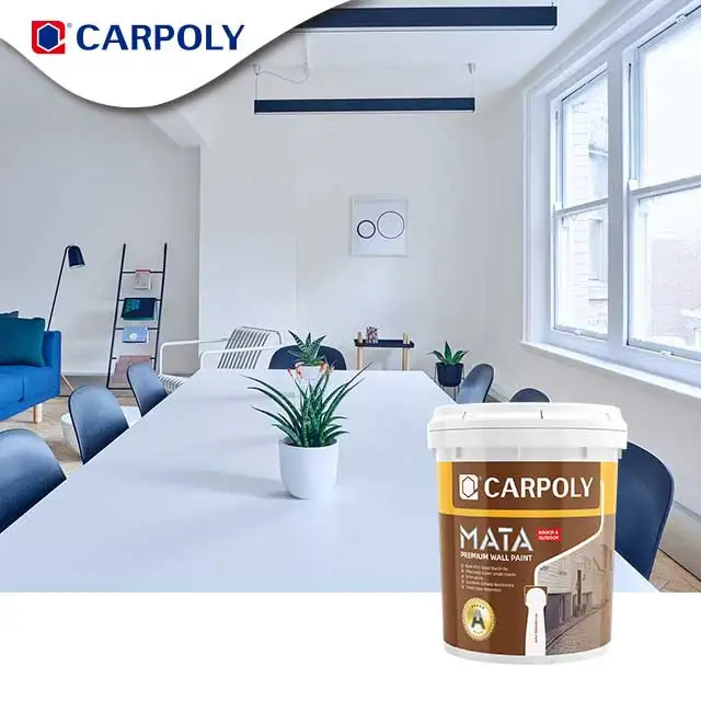 CARPOLY Texture coating for wall decoration apartments hotels parks museum and office building Interior Wall Primer Paint
