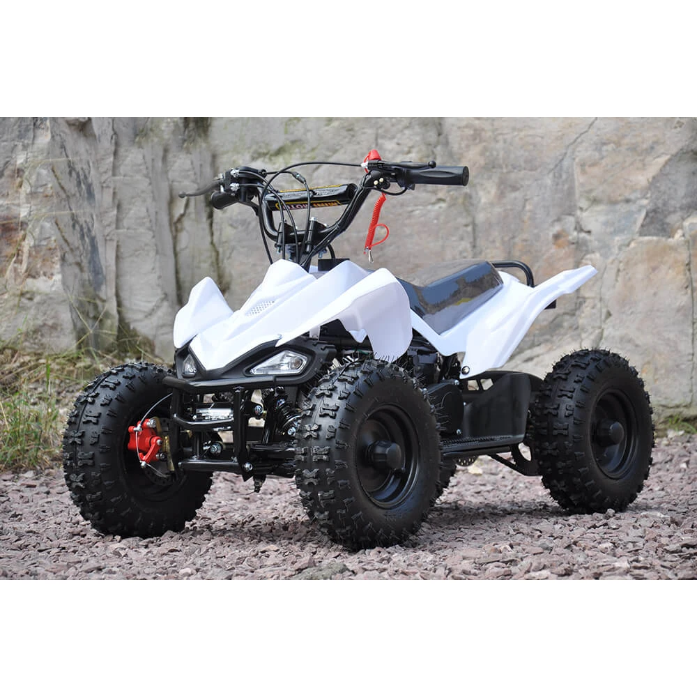 
Best selling in the world QWMATV-01D Pull & Electric Start 49cc bike Air-cooled High performance 2 stroke,single cylinder 