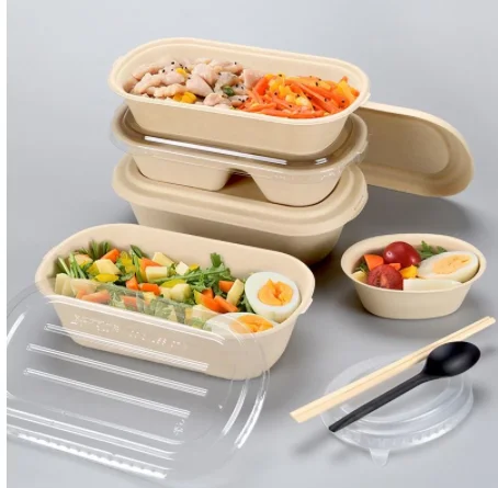 2021 wholesale eco friendly Biodegradable Sugarcane Bagasse Pulp Disposable  Food Container