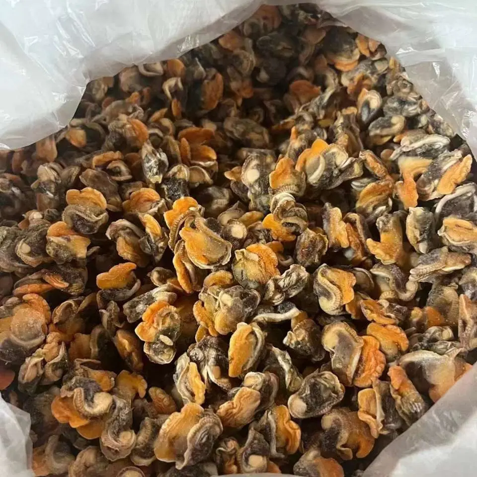 Замороженное мясо моллюсков крови