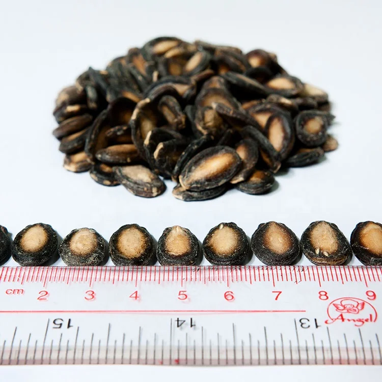 2021 Xinjiang Good quality factory supply black watermelon seeds egusi