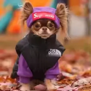 Luxury Designer Dog Jacket Waterproof Dog Coat Babies Clothes Winter Warm Pet Clothes Pet Dog Down Vest