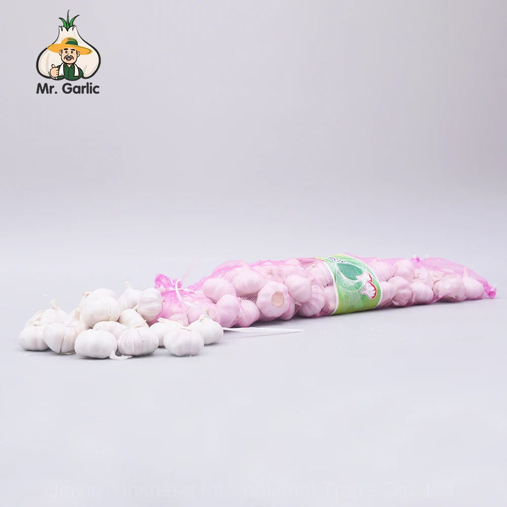 Low Price China Garlic Planter Sale Garlic for Wholesale