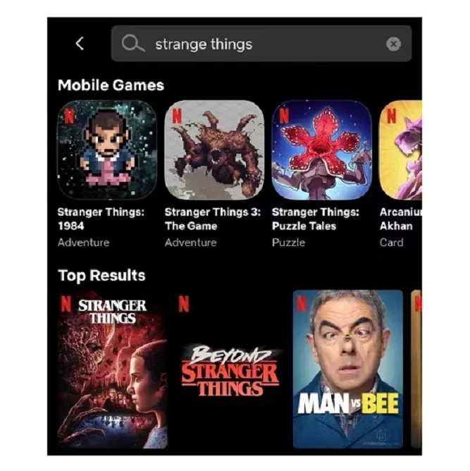Netflix account premiumn netflix account 1 year germany