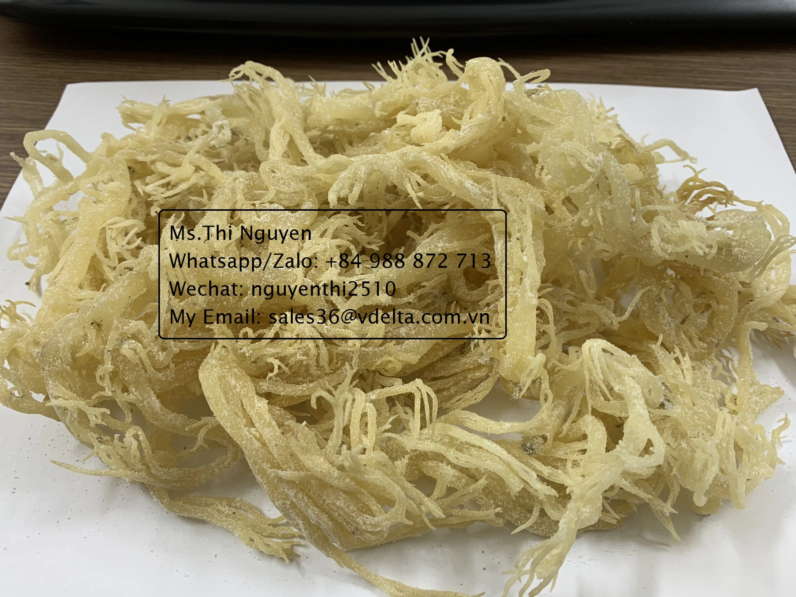 Dried Eucheuma Cottonii Seaweed From Viet Nam /High Quality Irish Sea Moss /Ms. Thi Nguyen +84 988872713