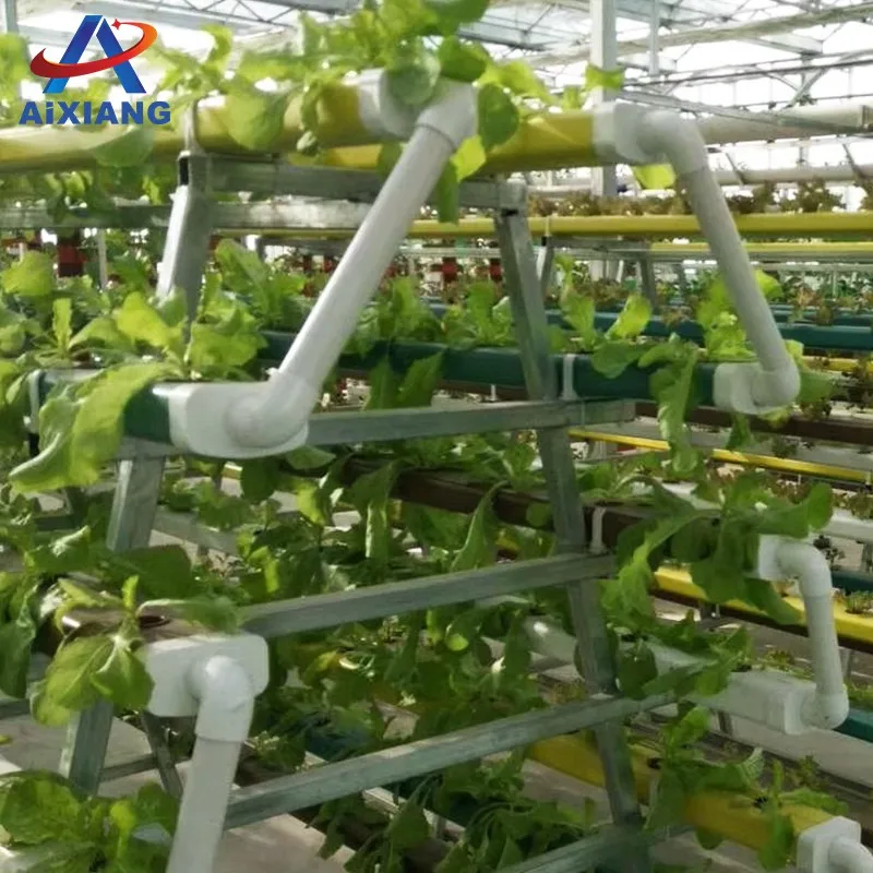 High Quality Soilless Cultivation Vertical Hydroponic PVC Pipe NFT Farm Growing System for Sale