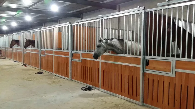 Customized front panel horse stall bamboo material horse stable design
