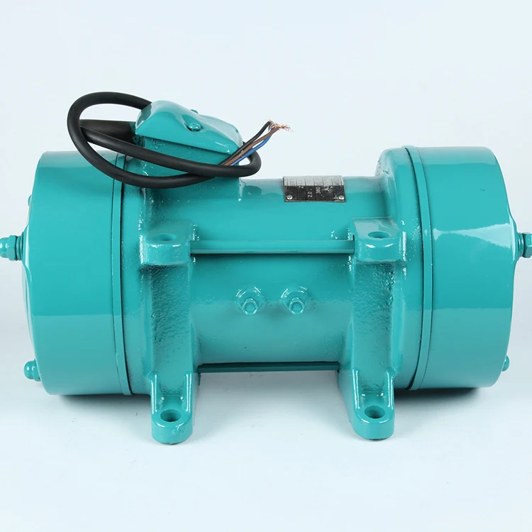 Zw Series Cast Iron Surface Electric Motor clinging concrete vibrator