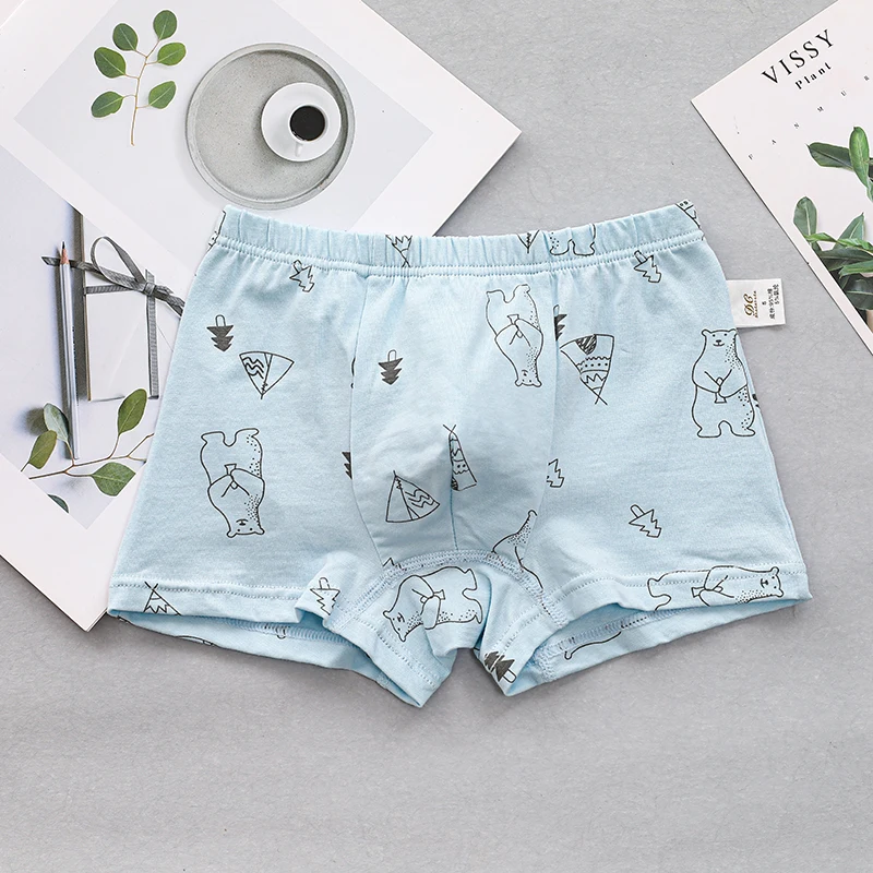 Kids Underwear Sets Cotton Multipacks 4 Pack Panties Kids Underwear Boy Underwear for 3-14 years