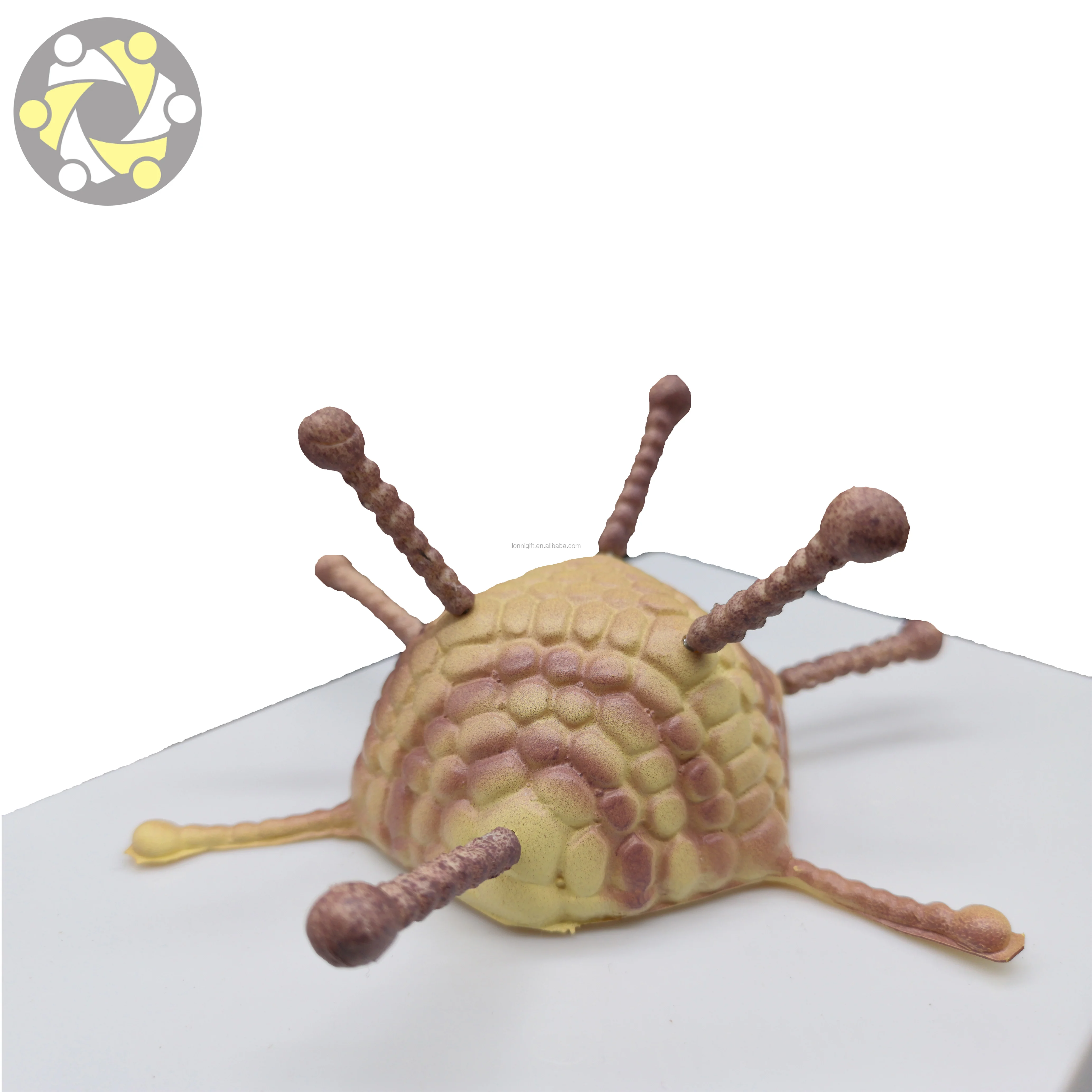Medical science Virus anatomical model Bacterial virus model Adenovirus Cell Ultrastructure Model