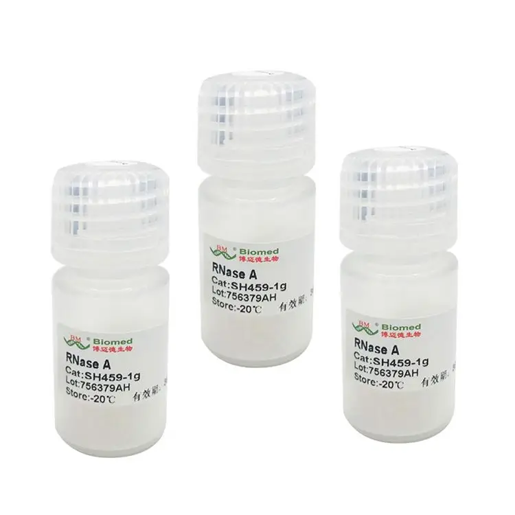 China Factory Professional RNase A RNase A Ribonuclease A