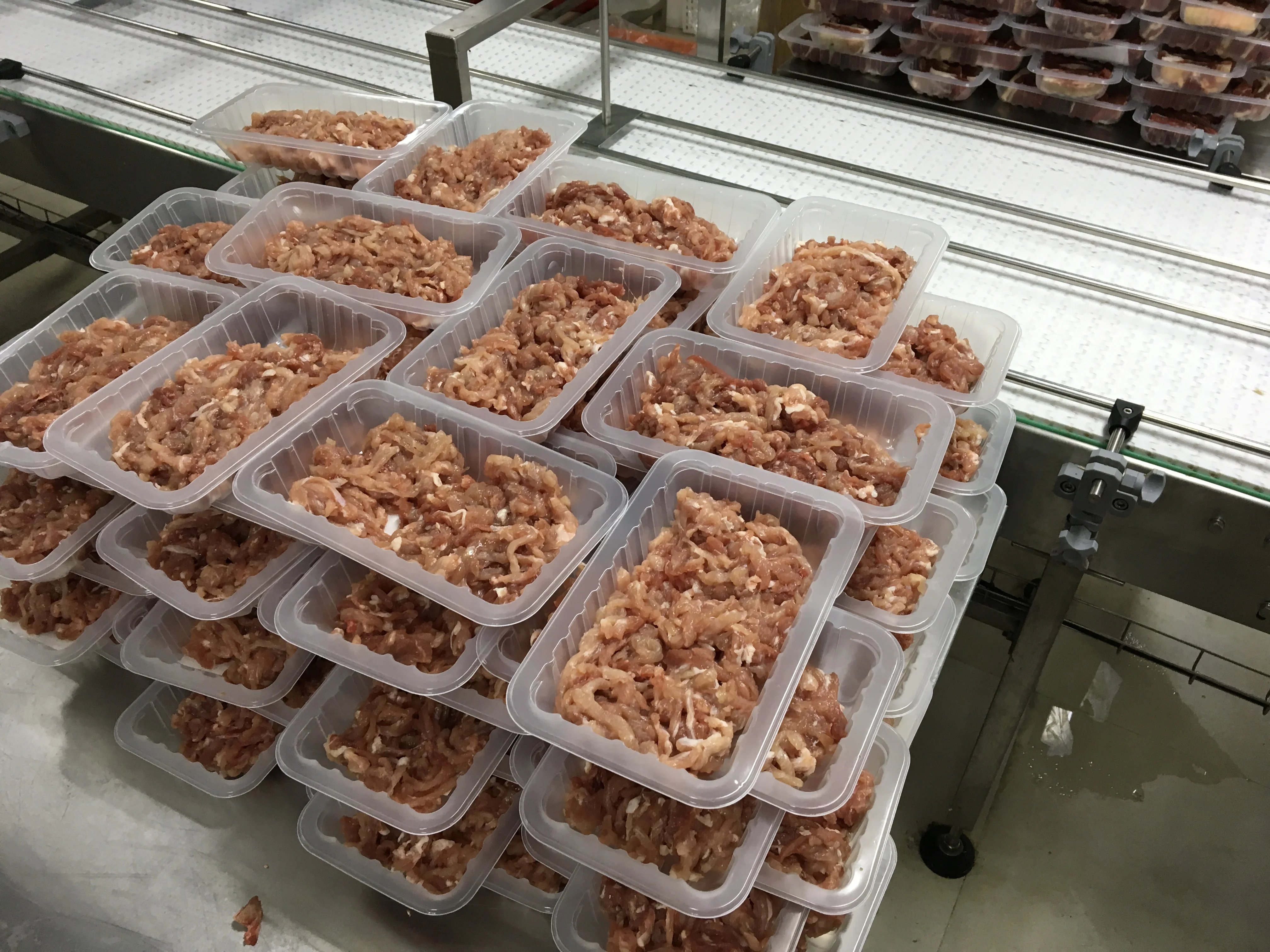 DS-3 small packaging machine food sandwich packing machine trays plastic sealer snack machines