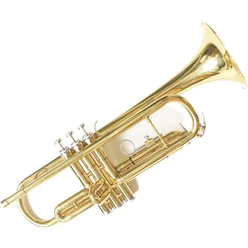 Price Of Produce Factory Trumpet instrument