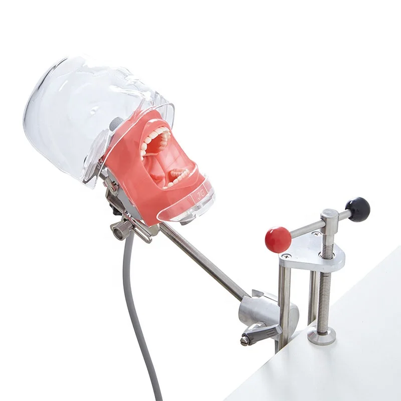 Nissin Manikin phantom head models with clear plastic head for various types of dental training