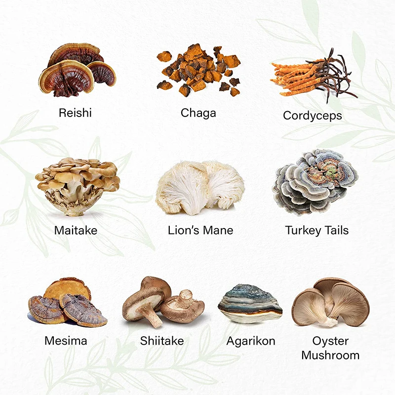 OEM/ODM Super Nootropic Brain Booster Supplement Vegan Nootropic Gummies Improve intelligence