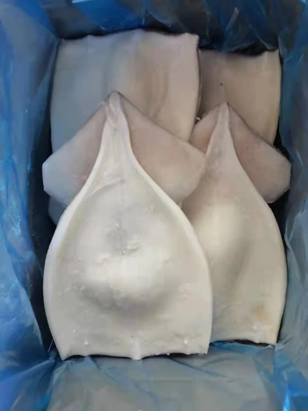 Горячая Распродажа 2021 морской замороженный кальмар гигантский всех размеров