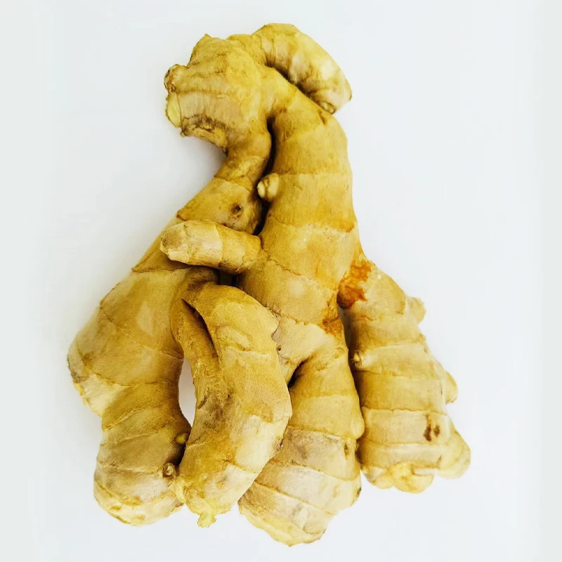 Competitive Price Nuisanceless Fresh Ginger Root Wholesale At Competitive Market Prices